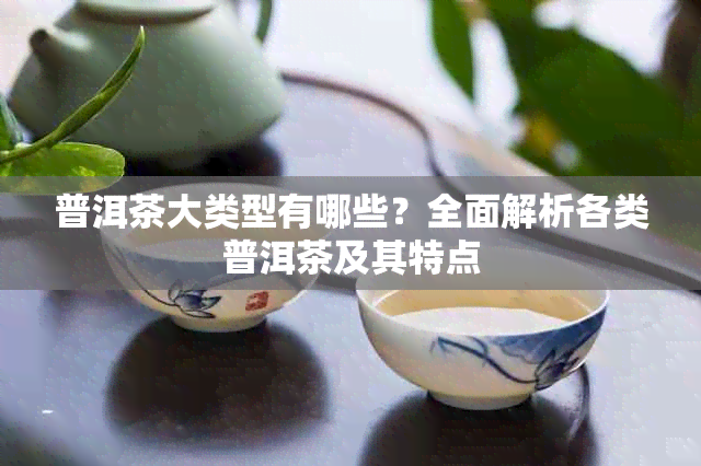 普洱茶大类型有哪些？全面解析各类普洱茶及其特点