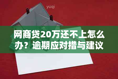 网商贷20万还不上怎么办？逾期应对措与建议