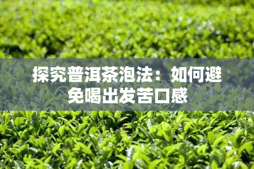 探究普洱茶泡法：如何避免喝出发苦口感