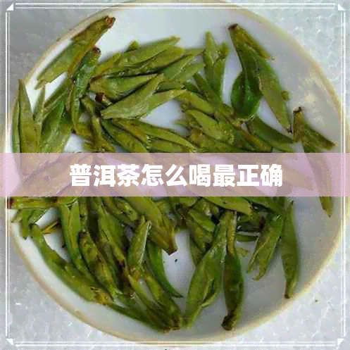 普洱茶怎么喝最正确