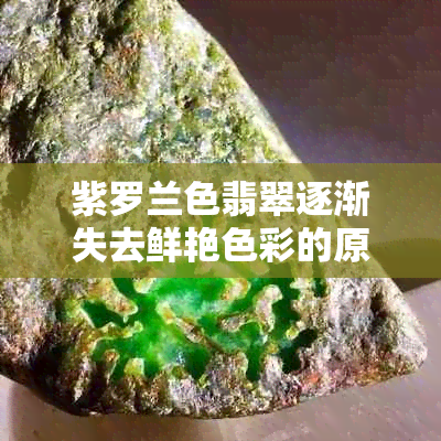 紫罗兰色翡翠逐渐失去鲜艳色彩的原因及解决方法