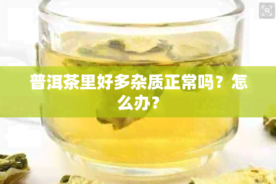 普洱茶里好多杂质正常吗？怎么办？