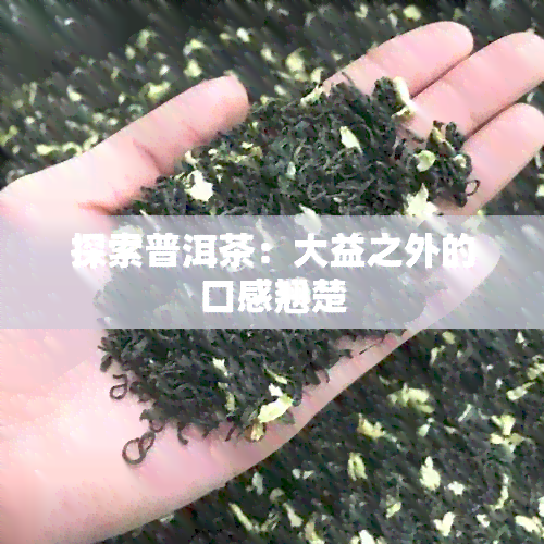 探索普洱茶：大益之外的口感翘楚