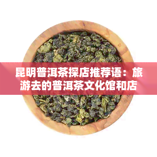 昆明普洱茶探店推荐语：旅游去的普洱茶文化馆和店铺推荐