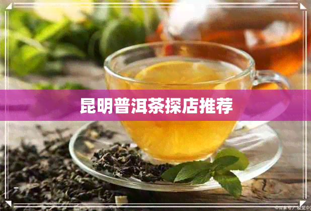 昆明普洱茶探店推荐