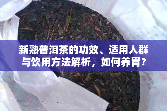 新熟普洱茶的功效、适用人群与饮用方法解析，如何养胃？