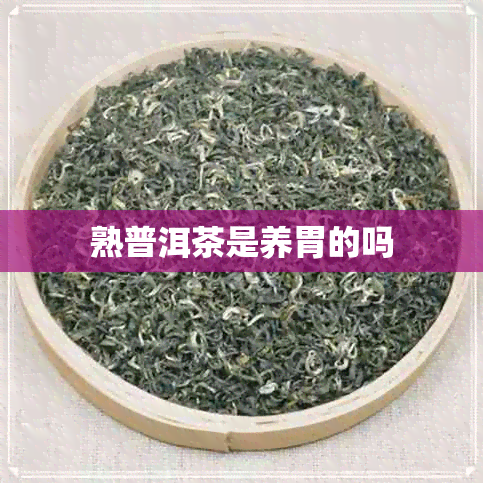 熟普洱茶是养胃的吗