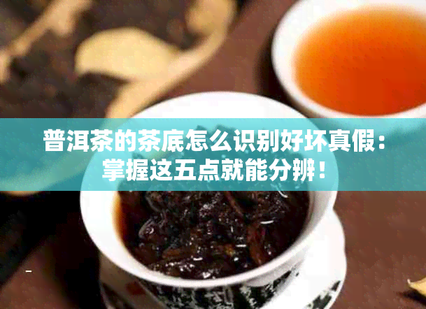 普洱茶的茶底怎么识别好坏真假：掌握这五点就能分辨！