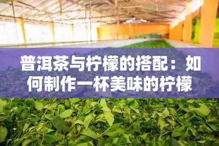 普洱茶与柠檬的搭配：如何制作一杯美味的柠檬普洱茶？