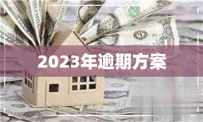 2023年逾期方案