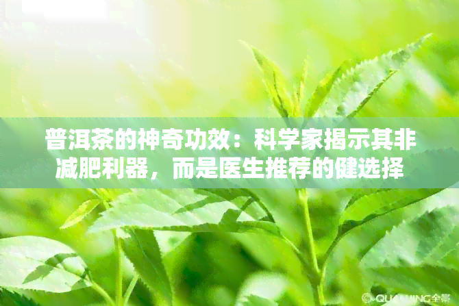 普洱茶的神奇功效：科学家揭示其非减肥利器，而是医生推荐的健选择