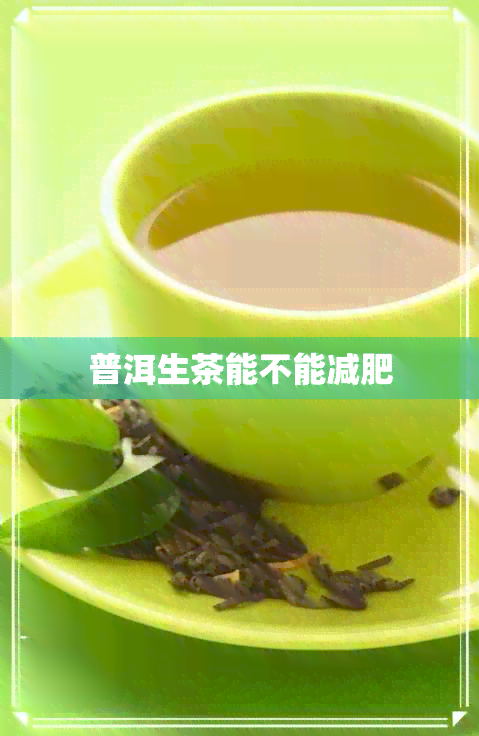 普洱生茶能不能减肥