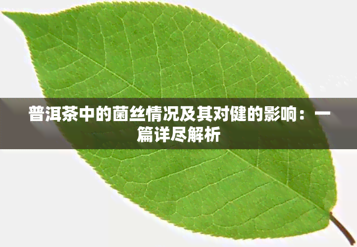 普洱茶中的菌丝情况及其对健的影响：一篇详尽解析