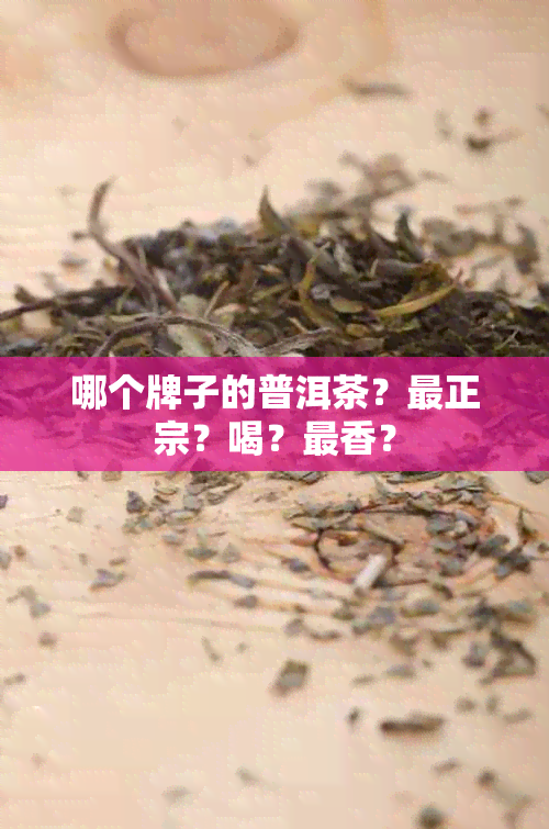 哪个牌子的普洱茶？最正宗？喝？最香？