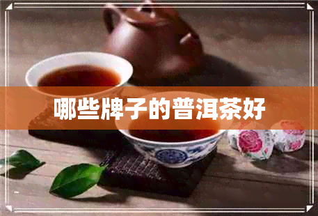 哪些牌子的普洱茶好