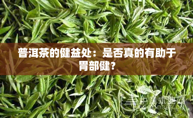 普洱茶的健益处：是否真的有助于胃部健？