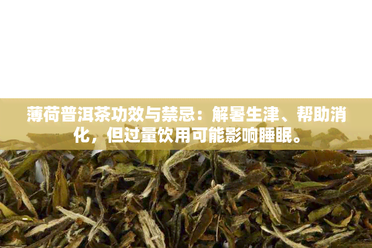 薄荷普洱茶功效与禁忌：解暑生津、帮助消化，但过量饮用可能影响睡眠。