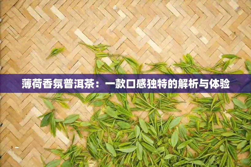 薄荷香氛普洱茶：一款口感独特的解析与体验