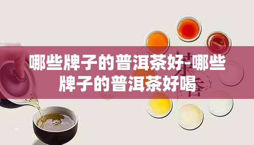 哪些牌子的普洱茶好-哪些牌子的普洱茶好喝