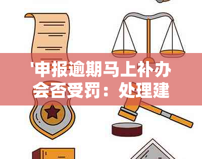 '申报逾期马上补办会否受罚：处理建议'