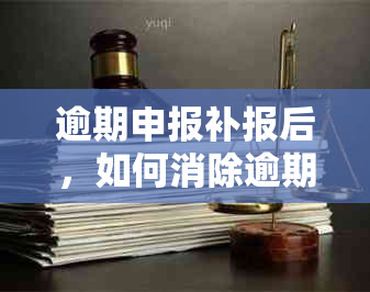 逾期申报补报后，如何消除逾期记录？还有其他方法吗？