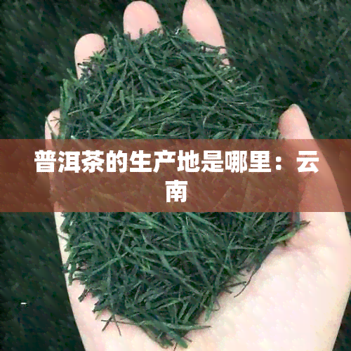 普洱茶的生产地是哪里：云南