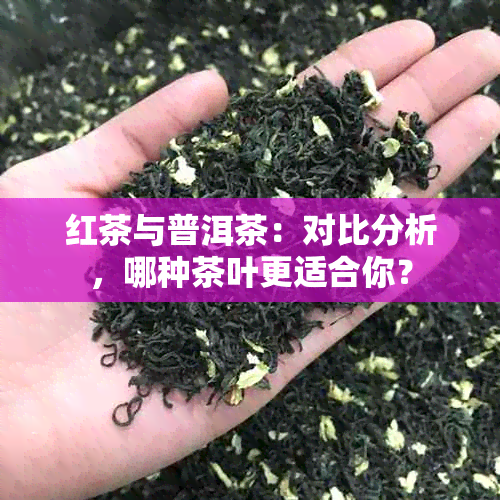 红茶与普洱茶：对比分析，哪种茶叶更适合你？