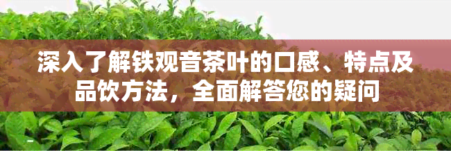 深入了解铁观音茶叶的口感、特点及品饮方法，全面解答您的疑问