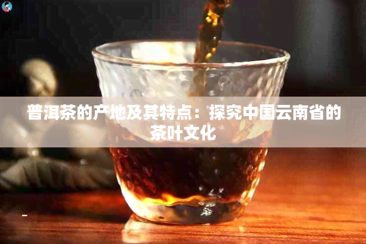 普洱茶的产地及其特点：探究中国云南省的茶叶文化