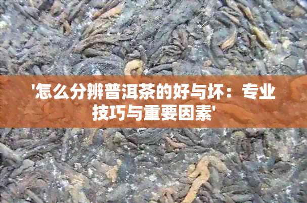 '怎么分辨普洱茶的好与坏：专业技巧与重要因素'