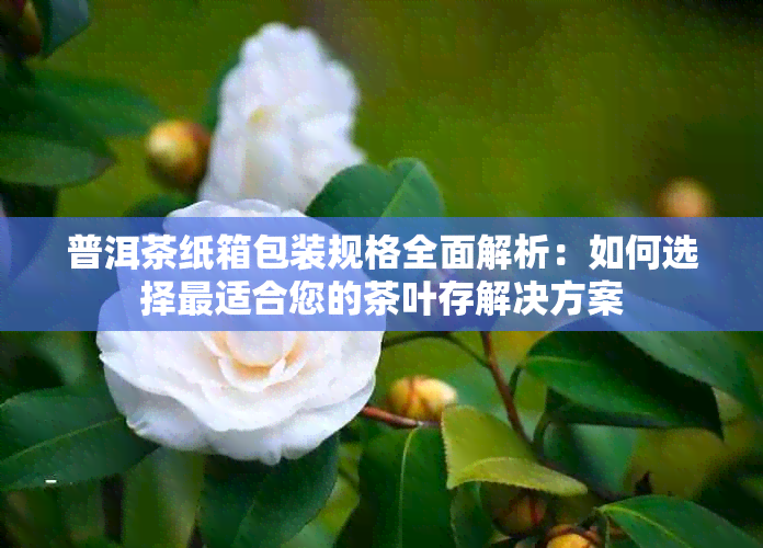 普洱茶纸箱包装规格全面解析：如何选择最适合您的茶叶存解决方案