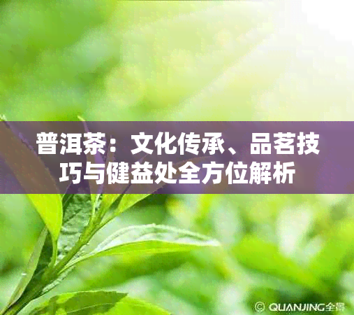 普洱茶：文化传承、品茗技巧与健益处全方位解析