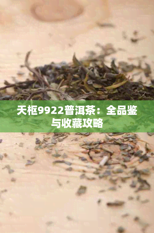 天枢9922普洱茶：全品鉴与收藏攻略