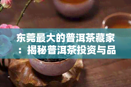 东莞更大的普洱茶藏家：揭秘普洱茶投资与品鉴的全方位指南