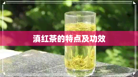 滇红茶的特点及功效