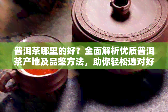 普洱茶哪里的好？全面解析优质普洱茶产地及品鉴方法，助你轻松选对好茶