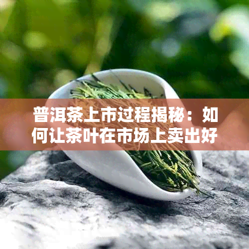 普洱茶上市过程揭秘：如何让茶叶在市场上卖出好价钱