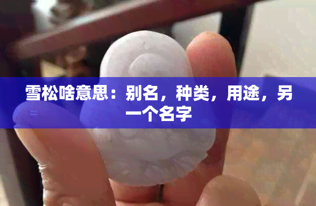 雪松啥意思：别名，种类，用途，另一个名字