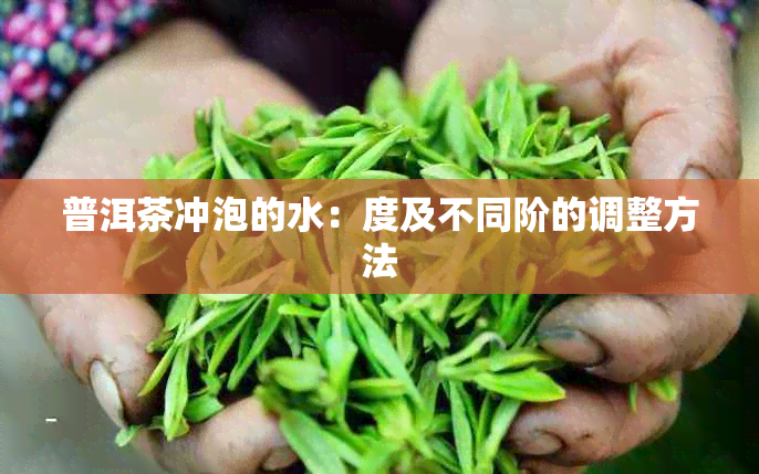 普洱茶冲泡的水：度及不同阶的调整方法