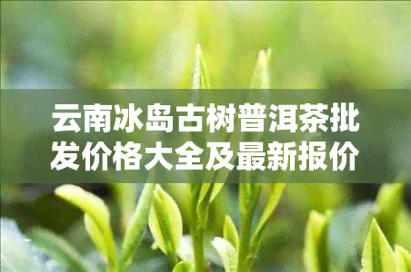 云南冰岛古树普洱茶批发价格大全及最新报价 - 货源