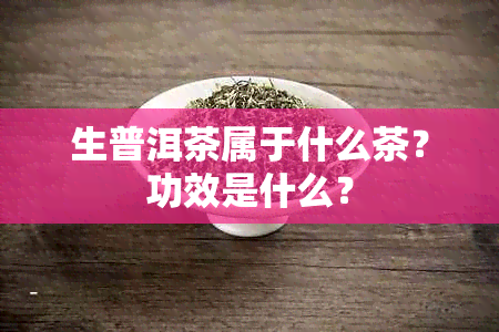 生普洱茶属于什么茶？功效是什么？