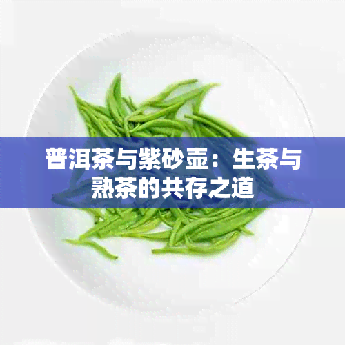 普洱茶与紫砂壶：生茶与熟茶的共存之道