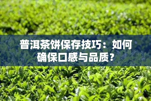 普洱茶饼保存技巧：如何确保口感与品质？