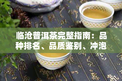 临沧普洱茶完整指南：品种排名、品质鉴别、冲泡技巧一应俱全！