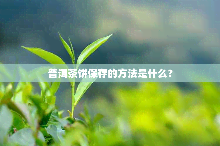 普洱茶饼保存的方法是什么？