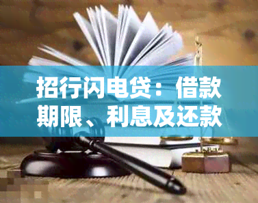 招行闪电贷：借款期限、利息及还款方式全面解析，哪种选择更划算？