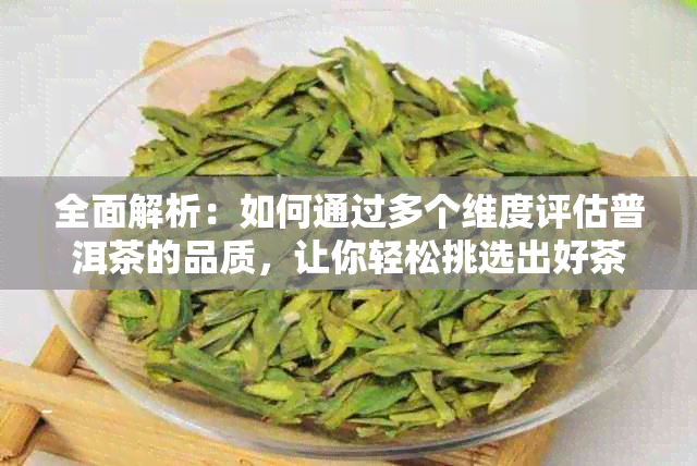 全面解析：如何通过多个维度评估普洱茶的品质，让你轻松挑选出好茶