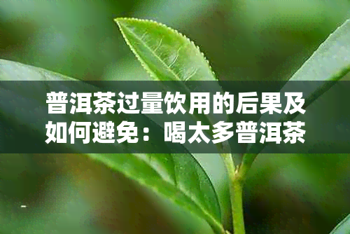 普洱茶过量饮用的后果及如何避免：喝太多普洱茶会怎么样？