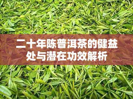 二十年陈普洱茶的健益处与潜在功效解析