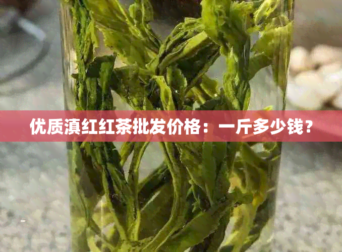 优质滇红红茶批发价格：一斤多少钱？